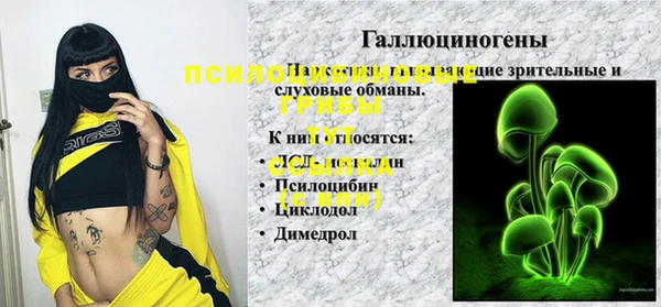 прущая мука Верея