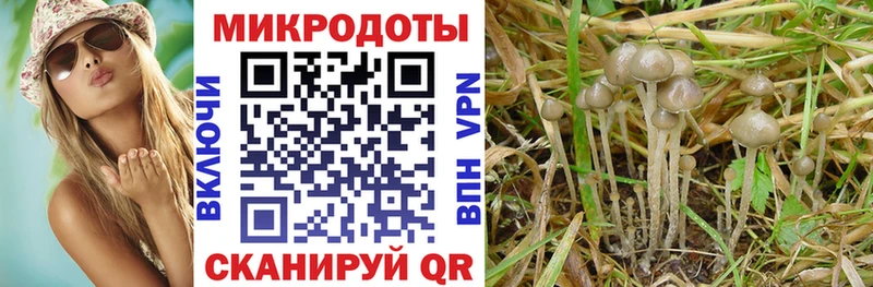 блэк спрут как зайти Гагарин Галлюциногенные грибы GOLDEN TEACHER