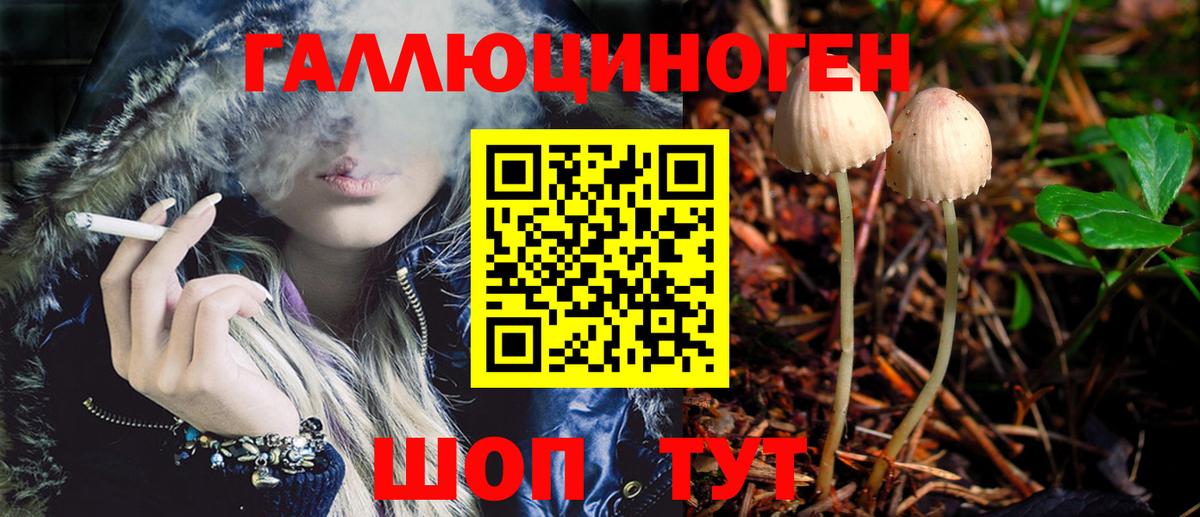 Псилоцибиновые грибы Psilocybine cubensis  Вход с VPN  Псилоцибиновые грибы Cubensis  где найти наркотики  Гагарин 